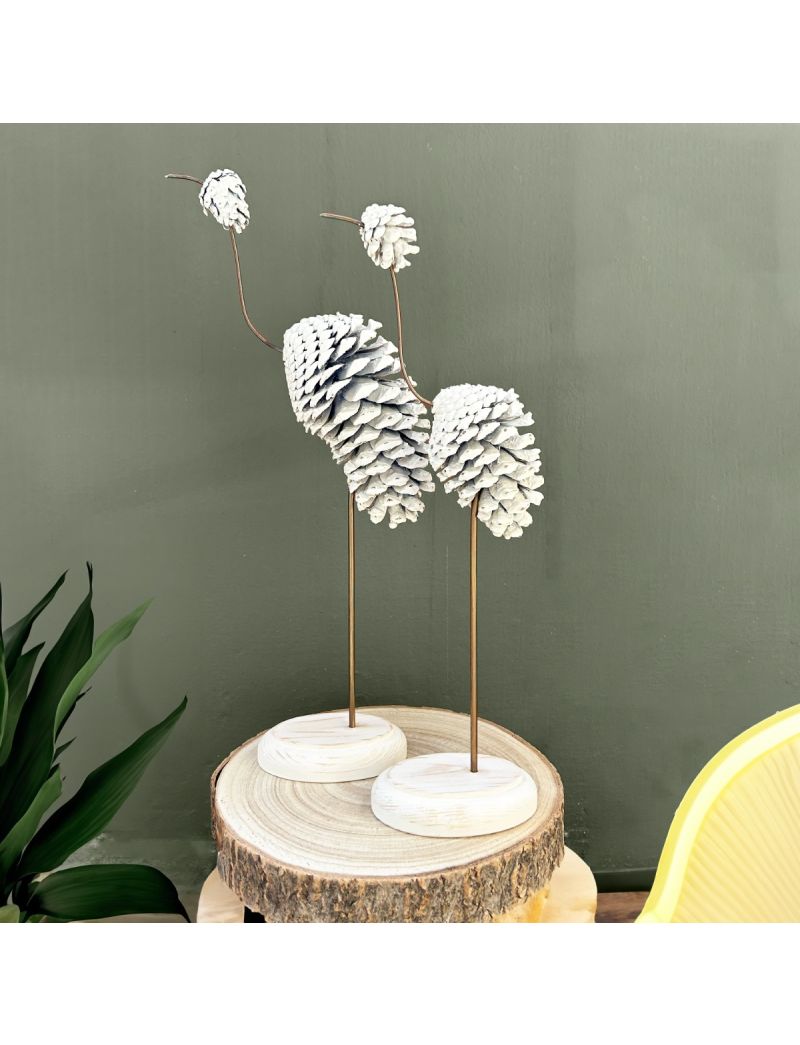 Conjunto de graças branca