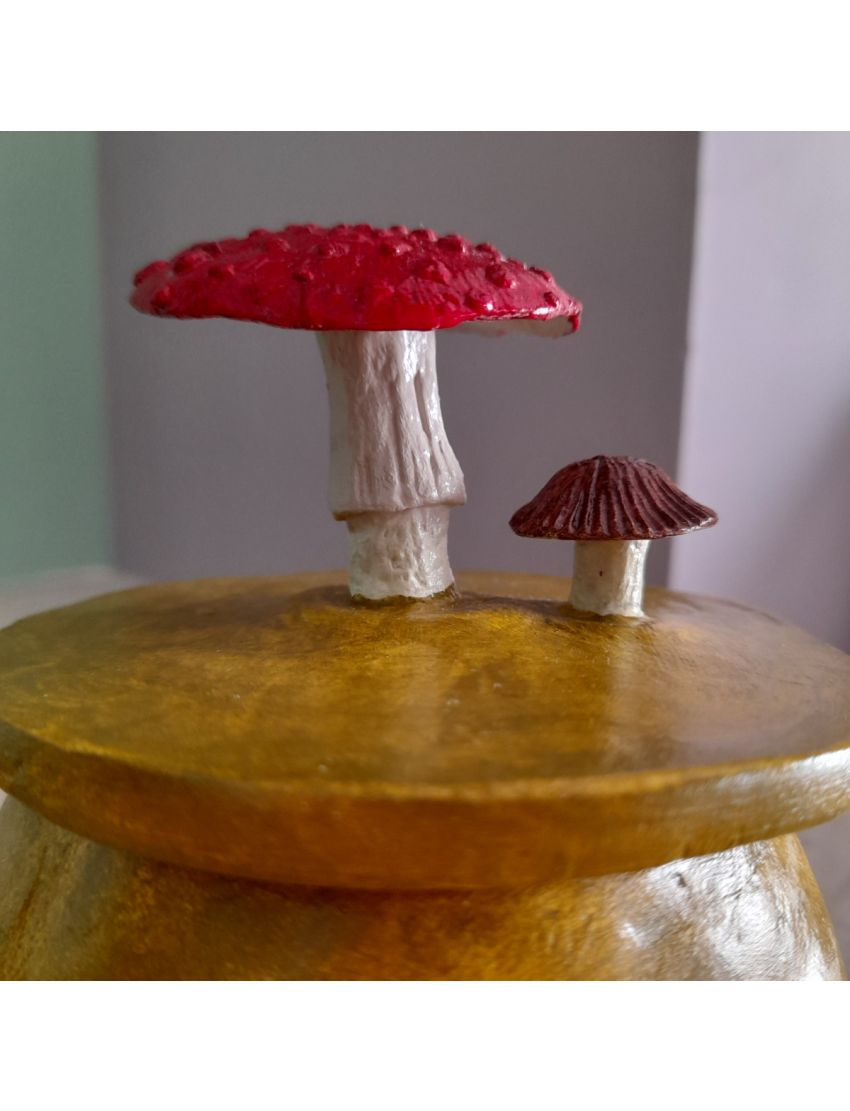 Caixa “Bosque Encantado”