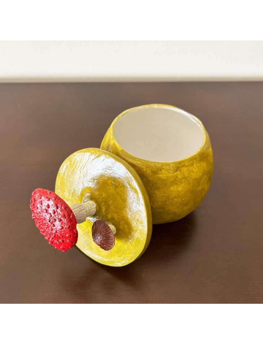 Caixa “Bosque Encantado”