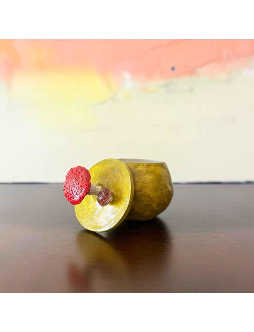 Caixa “Bosque Encantado”