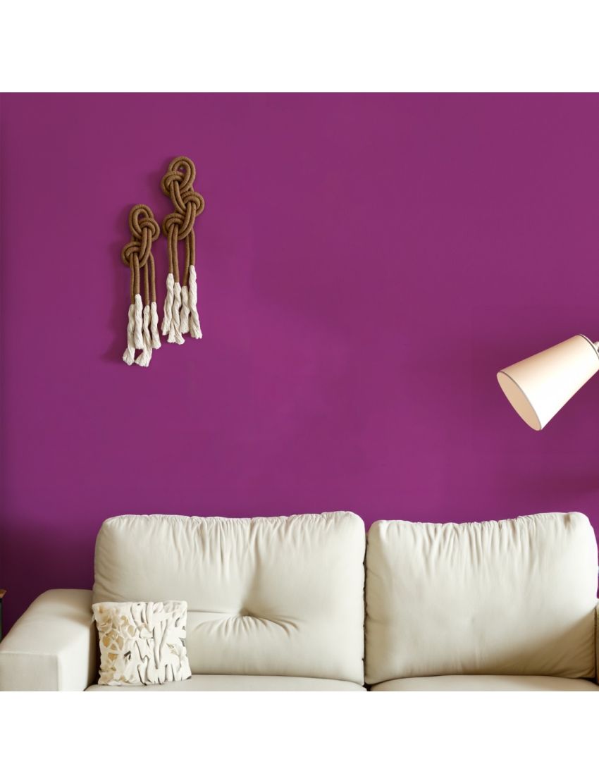 Conjunto Nós que Dançam