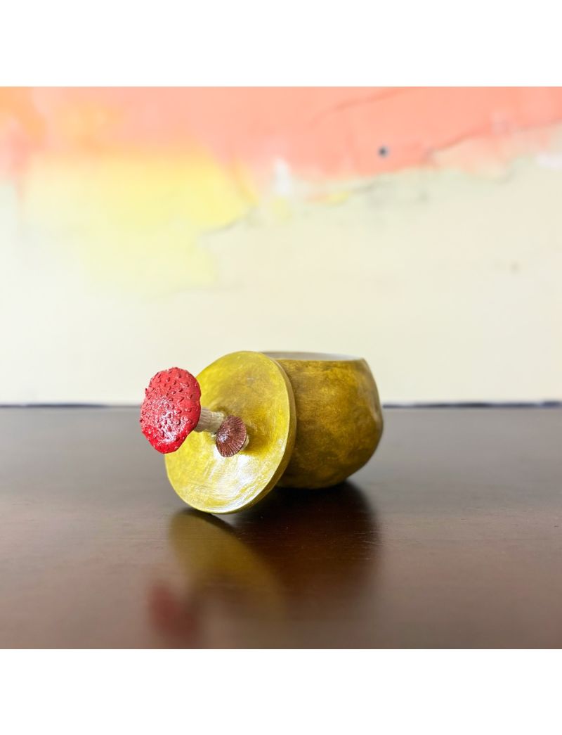 Caixa “Bosque Encantado”